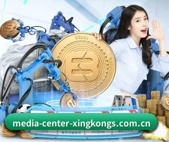 media-center-xingkongs.com.cn APP 界面